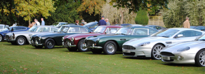Aston Martin Owners Club Concours